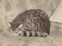 <img0*150:stuff/z/117232/extremelover!%3C3/i1166231860_29.jpg>