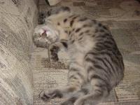 <img0*150:stuff/z/117232/extremelover!%3C3/i1166231860_33.jpg>