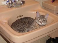 <img0*150:stuff/z/117232/extremelover!%3C3/i1166231860_37.jpg>