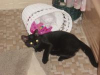 <img0*150:stuff/z/117232/extremelover!%3C3/i1166231860_7.jpg>