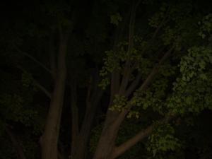 <img300*0:stuff/z/122153/InsertSomethingWittyandFunny/i1247657116_10.jpg>