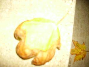 <img300*0:stuff/z/122153/InsertSomethingWittyandFunny/i1247657116_12.jpg>