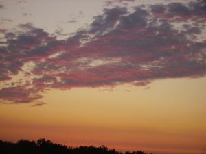 <img300*0:stuff/z/122153/InsertSomethingWittyandFunny/i1247657116_17.jpg>