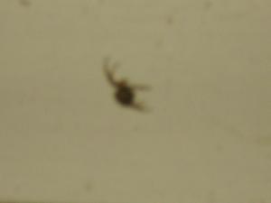<img300*0:stuff/z/122153/InsertSomethingWittyandFunny/i1247657116_5.jpg>