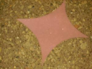 <img300*0:stuff/z/122153/InsertSomethingWittyandFunny/i1247657116_6.jpg>