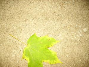 <img300*0:stuff/z/122153/InsertSomethingWittyandFunny/i1247657116_9.jpg>