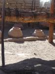 <img0*150:stuff/z/12879/Patricio%2520in%2520Arequipa/Imagen%20071.jpg>