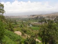<img0*150:stuff/z/12879/Patricio%2520in%2520Arequipa/Imagen%20094.jpg>