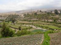 <img0*150:stuff/z/12879/Patricio%2520in%2520Arequipa/Imagen%20107.jpg>