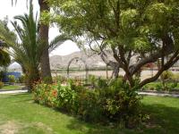 <img0*150:stuff/z/12879/Patricio%2520in%2520Arequipa/Imagen%20145.jpg>