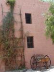<img0*150:stuff/z/12879/Patricio%2520in%2520Arequipa/Imagen%20149.jpg>