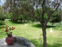 <img0*150:stuff/z/12879/Patricio%2520in%2520Arequipa/Imagen%20155.jpg>