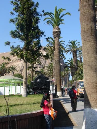 <img0*500:stuff/z/12879/Patricio%2520in%2520Arica/Imagen%20189.jpg>