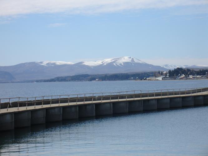 <img0*500:stuff/z/12879/Patricio%2520in%2520Bariloche/DSC03812.JPG>