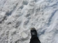 <img0*150:stuff/z/12879/Patricio%2520in%2520Bariloche/DSC03824.JPG>