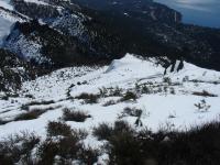 <img0*150:stuff/z/12879/Patricio%2520in%2520Bariloche/DSC03830.JPG>