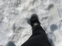 <img0*150:stuff/z/12879/Patricio%2520in%2520Bariloche/DSC03837.JPG>