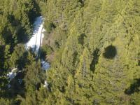 <img0*150:stuff/z/12879/Patricio%2520in%2520Bariloche/DSC03856.JPG>