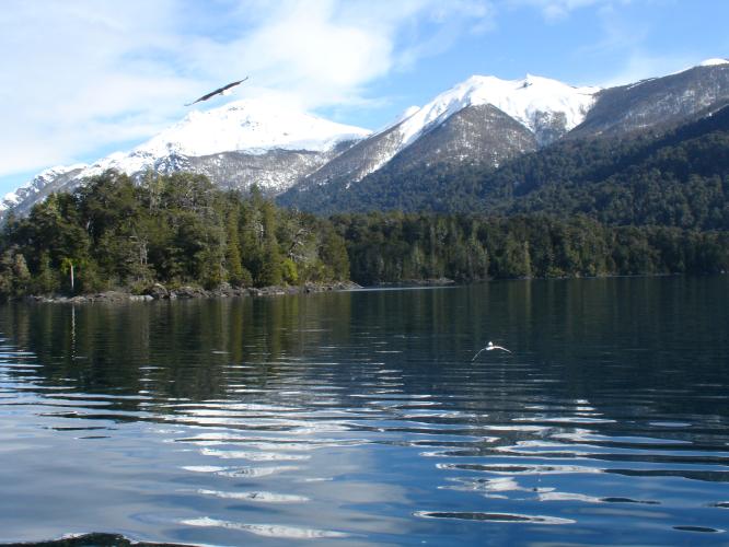 <img0*500:stuff/z/12879/Patricio%2520in%2520Bariloche/DSC03862.JPG>