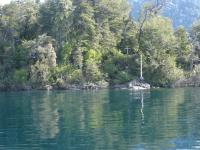 <img0*150:stuff/z/12879/Patricio%2520in%2520Bariloche/DSC03864.JPG>