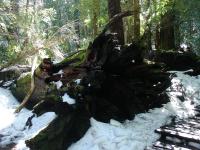 <img0*150:stuff/z/12879/Patricio%2520in%2520Bariloche/DSC03882.JPG>