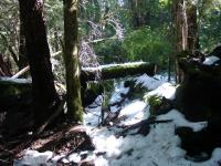 <img0*150:stuff/z/12879/Patricio%2520in%2520Bariloche/DSC03883.JPG>