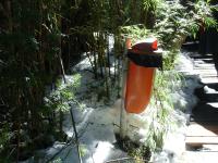 <img0*150:stuff/z/12879/Patricio%2520in%2520Bariloche/DSC03884.JPG>