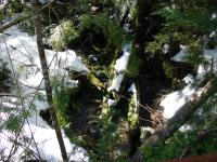 <img0*150:stuff/z/12879/Patricio%2520in%2520Bariloche/DSC03886.JPG>