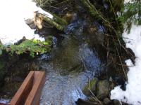 <img0*150:stuff/z/12879/Patricio%2520in%2520Bariloche/DSC03888.JPG>