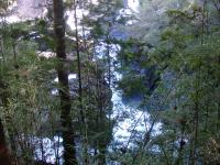 <img0*150:stuff/z/12879/Patricio%2520in%2520Bariloche/DSC03894.JPG>