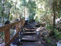 <img0*150:stuff/z/12879/Patricio%2520in%2520Bariloche/DSC03900.JPG>