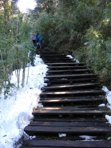 <img0*500:stuff/z/12879/Patricio%2520in%2520Bariloche/DSC03901.JPG>