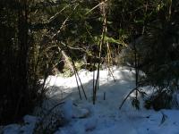 <img0*150:stuff/z/12879/Patricio%2520in%2520Bariloche/DSC03903.JPG>