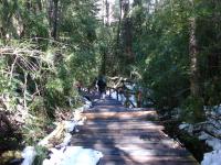 <img0*150:stuff/z/12879/Patricio%2520in%2520Bariloche/DSC03914.JPG>