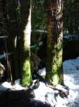 <img0*150:stuff/z/12879/Patricio%2520in%2520Bariloche/DSC03915.JPG>