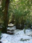 <img0*150:stuff/z/12879/Patricio%2520in%2520Bariloche/DSC03917.JPG>