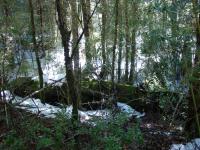 <img0*150:stuff/z/12879/Patricio%2520in%2520Bariloche/DSC03919.JPG>