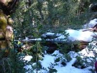 <img0*150:stuff/z/12879/Patricio%2520in%2520Bariloche/DSC03921.JPG>
