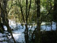<img0*150:stuff/z/12879/Patricio%2520in%2520Bariloche/DSC03922.JPG>