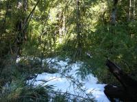 <img0*150:stuff/z/12879/Patricio%2520in%2520Bariloche/DSC03923.JPG>