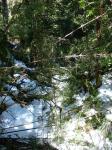 <img0*150:stuff/z/12879/Patricio%2520in%2520Bariloche/DSC03924.JPG>