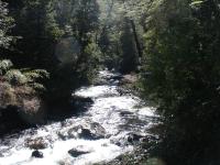 <img0*150:stuff/z/12879/Patricio%2520in%2520Bariloche/DSC03925.JPG>