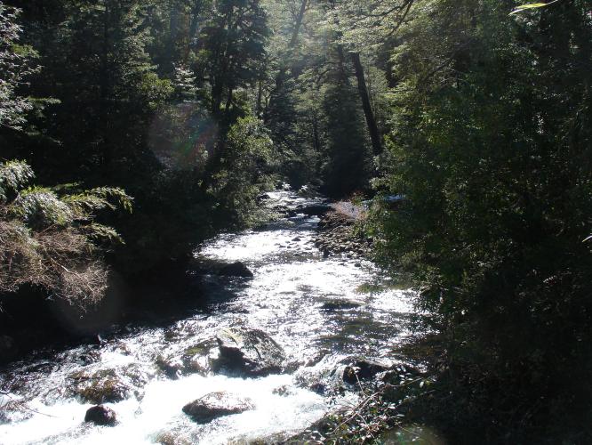 <img0*500:stuff/z/12879/Patricio%2520in%2520Bariloche/DSC03925.JPG>