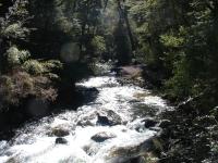 <img0*150:stuff/z/12879/Patricio%2520in%2520Bariloche/DSC03927.JPG>