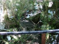 <img0*150:stuff/z/12879/Patricio%2520in%2520Bariloche/DSC03937.JPG>