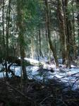 <img0*150:stuff/z/12879/Patricio%2520in%2520Bariloche/DSC03938.JPG>