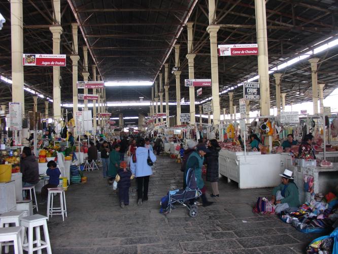 <img0*500:stuff/z/12879/Patricio%2520in%2520Cuzco%2520part%25201/DSC04550.JPG>