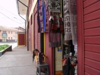 <img0*150:stuff/z/12879/Patricio%2520in%2520Cuzco%2520part%25202/Imagen%20042.jpg>