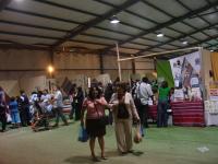 <img0*150:stuff/z/12879/Patricio%2520in%2520Iquique/Imagen%20213.jpg>