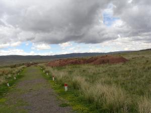 <img300*0:stuff/z/12879/Patricio%2520in%2520La%2520Paz/DSC04397.JPG>